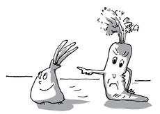 Karotte und Zwiebel 16.jpg